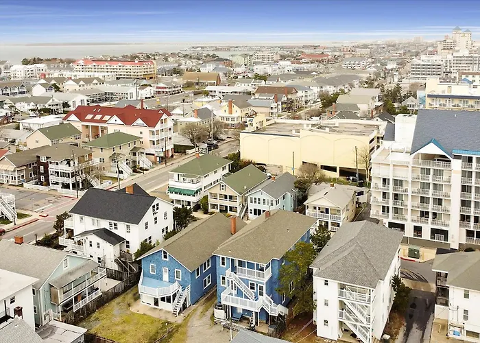 Ocean View Dollar 3